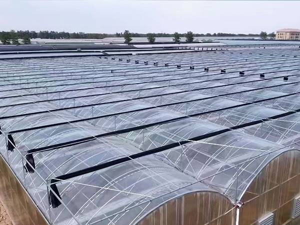 薄膜连栋温室